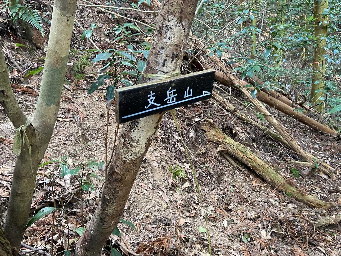 六ヶ岳のルートはだいたい歩いていると思ってましたが、まだ歩いたことのないルートがあることに気づきました。またの機会に行ってみます