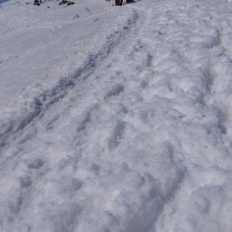 最初から重い雪。