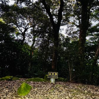 2nd

ラストに登る観光お山？っぽい
飯盛山以外は景色無いかも…

と悟る
