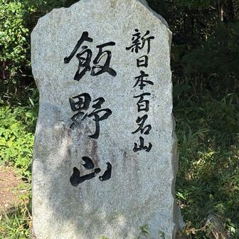ダンスをする子ども
弁当を食べる家族
若いカップル
老夫婦などなど