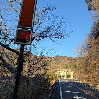 後半はロードを
　　ぽちぽちジョグ

してゴールした