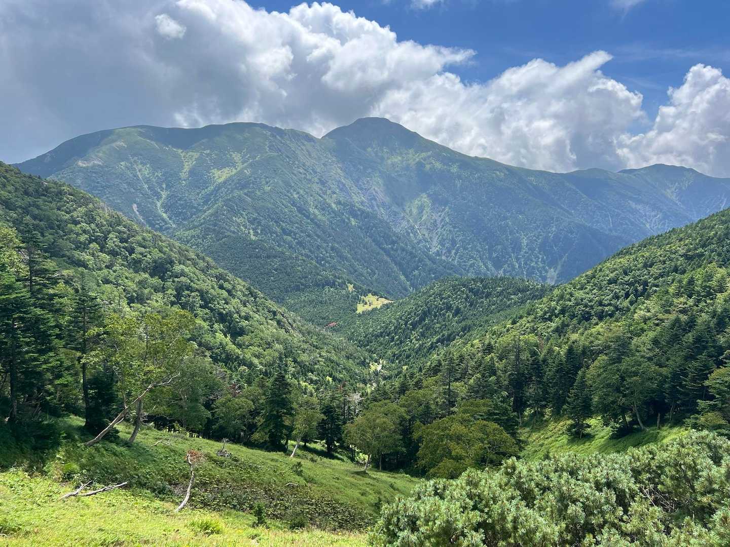 芝沢ゲート-易老渡-易老岳-三吉平-光岳-イザルガ岳-希望 周回コースの写真