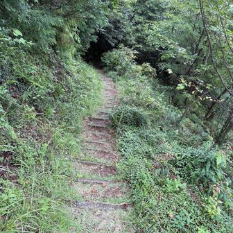 登りも下りもずっと階段