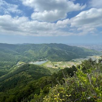 三ツ口池がみえます