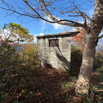 咲倉沢頭避難小屋、ハシゴ登って屋根に登ったら景色良さげでしたが自粛しました🫡
