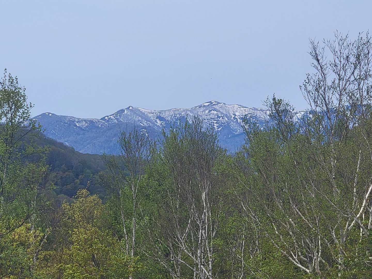 周辺の山々🏔️