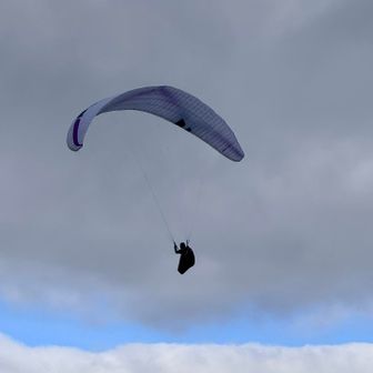 ヒラリ飛んで、手も振ってくれた🖐️