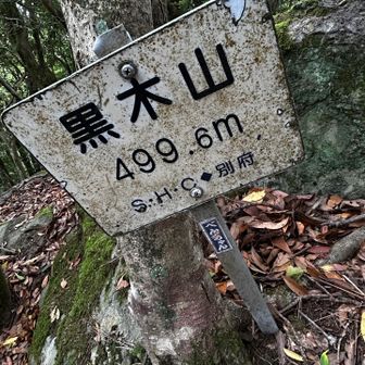 山頂は眺望無し😅