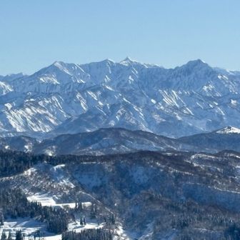 桝形からの毛猛やん