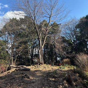 お次は丸山。意外なものが