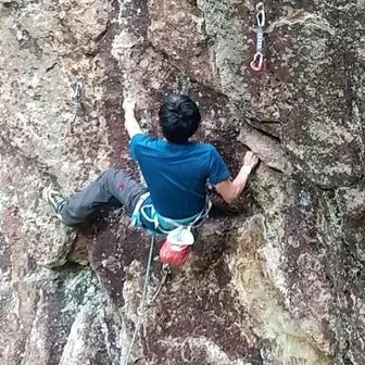 めざせ300イレブン+