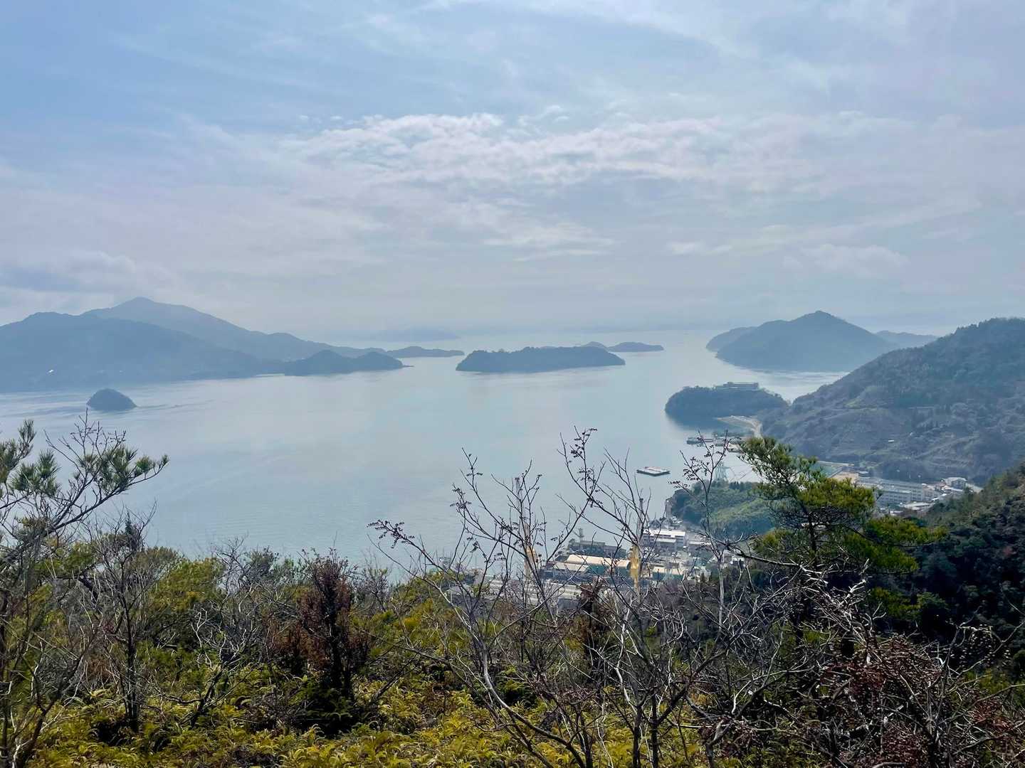 曇り予報だったのにこんなに明るい🔆
なかなか暑いです🥵