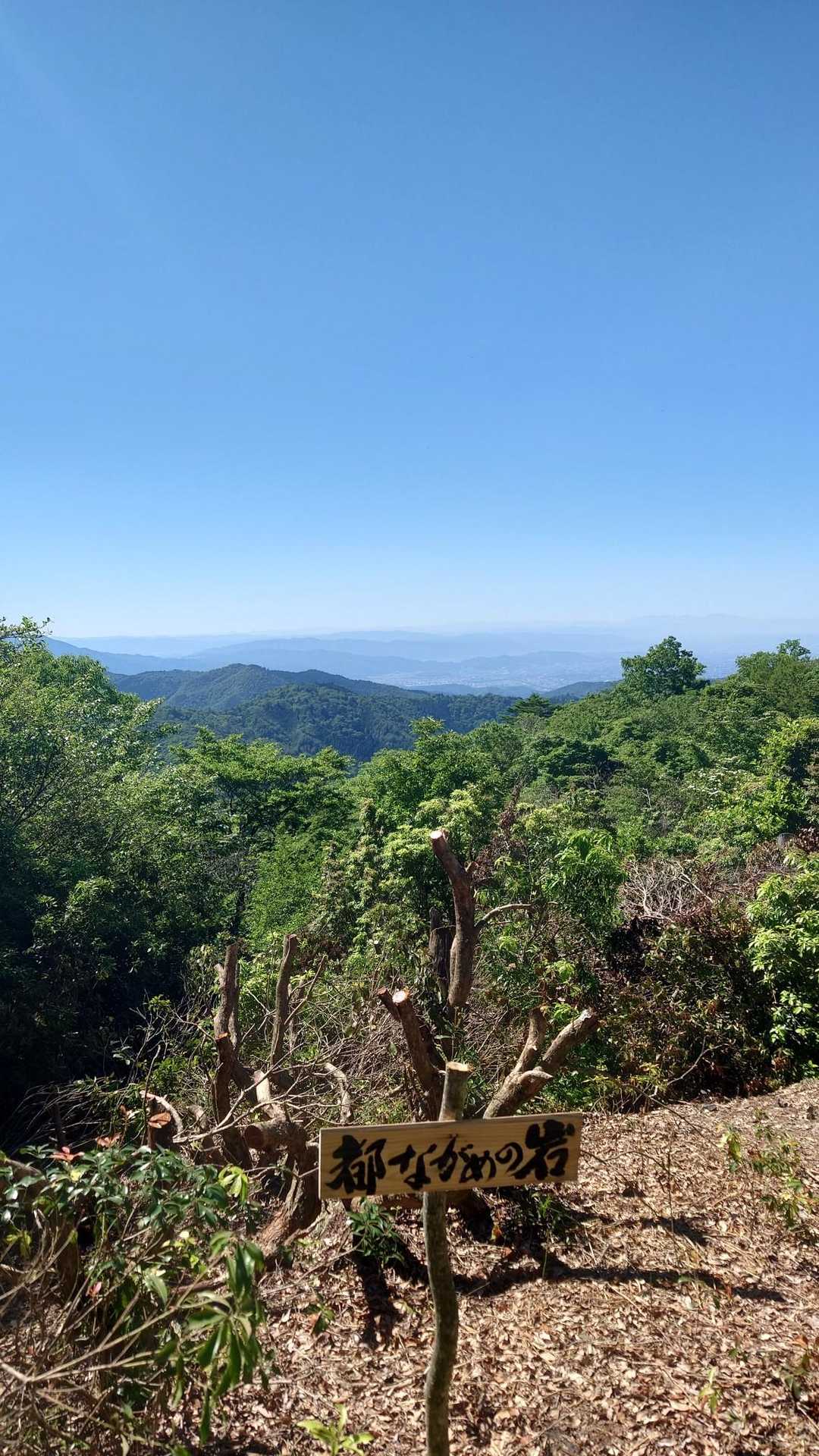 振り返ると京都を見渡せる絶景ポイントでした✨️