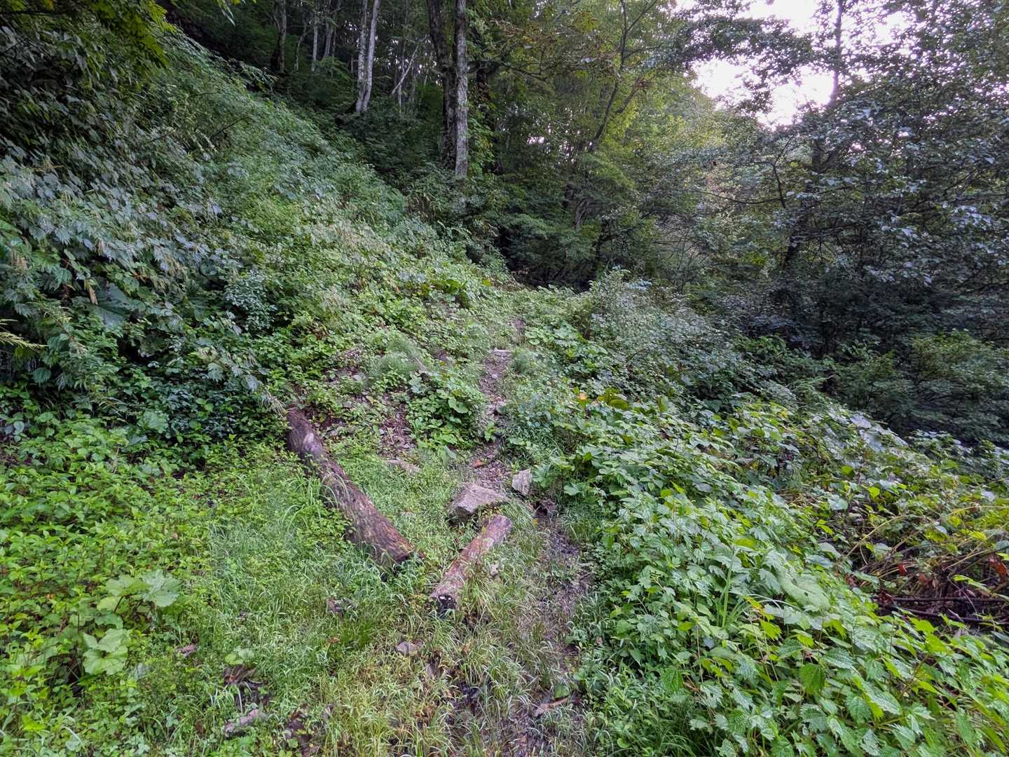 時間経って安定してる崩落地超えます