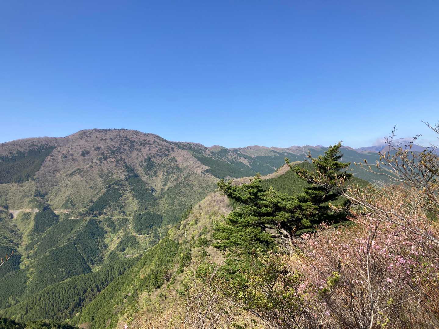 昨日こちらの山を計画して大座礼山へお代わりという選択肢もあった🥲