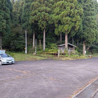 〈宝慶寺いこいの森〉駐車場
ここがスタート、道路を歩き始めてすぐ、巨大なオスのシカに遭遇…
お互いビックリ(＠_＠;)