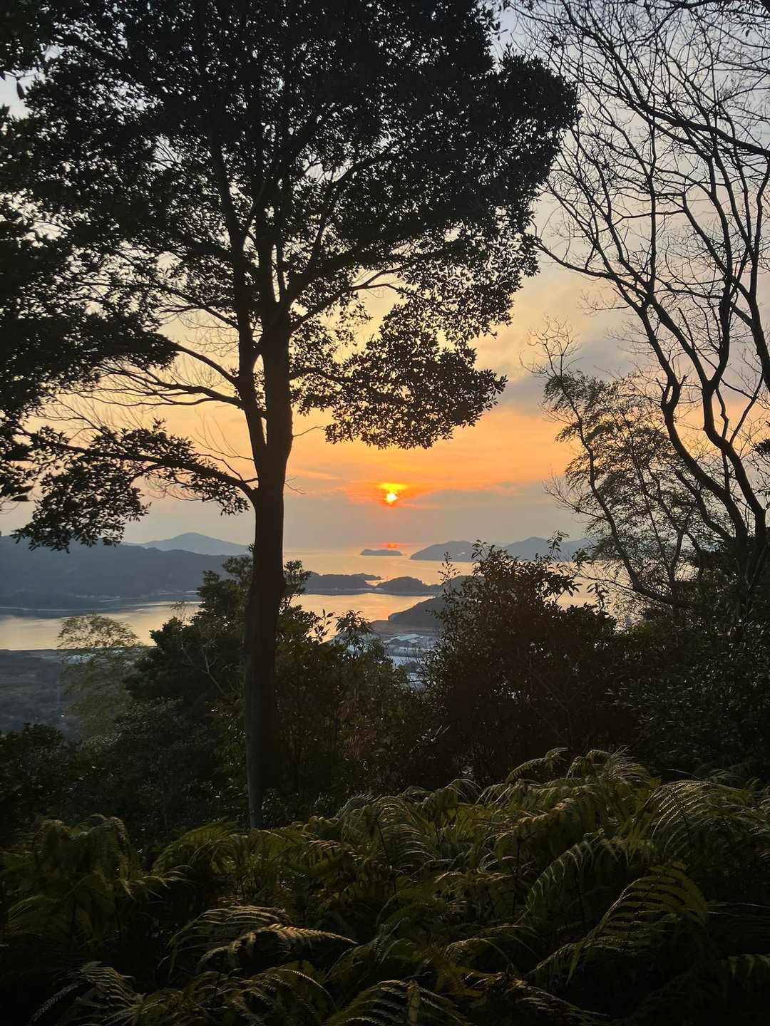 茶臼山 往復コースの写真