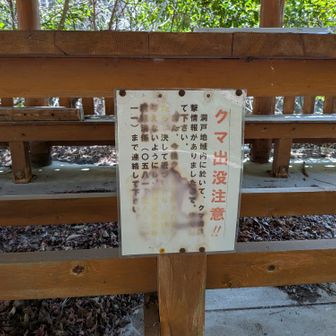 クマ出没注意!!