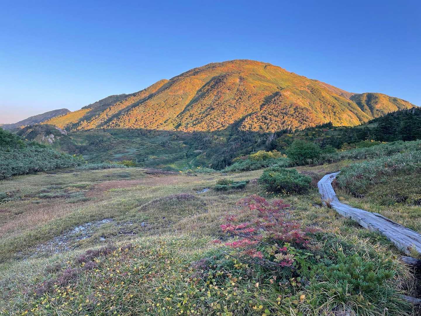 水平道の木道が危険⚠️早朝は滑るよー！
ほんと恐る恐る歩いたのに、私だけ？ってくらい滑りました。しかも木道長い😅今回もっとも怖かった。手を負傷🤕