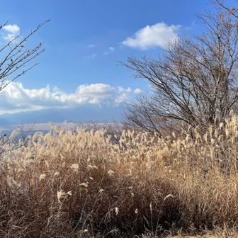 ほとんど見えなくなってしまいました