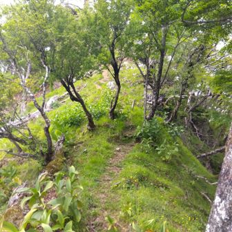 石立山へ移動