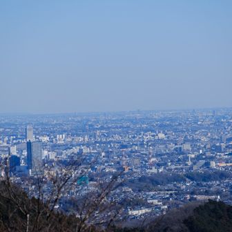 この景色を独り占めできる