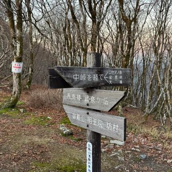 2年前は武奈ヶ岳から御殿山へ行かずにここから金糞峠、堂満岳へ向かって降りて行った