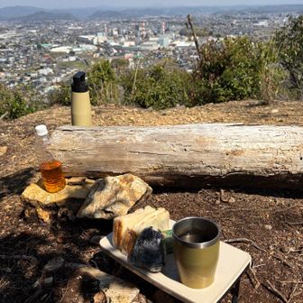 木陰でのんびりランチ🥪☕️