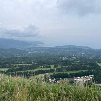 駿河湾