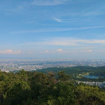 よーーく見ると大阪のあべのハルカスまで見えます