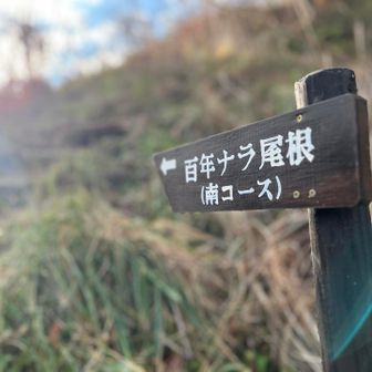 今年もお山に沼ります⛰️

早めに動くの大事！