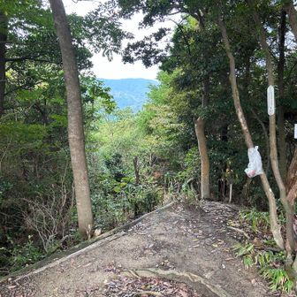 片縄山登頂