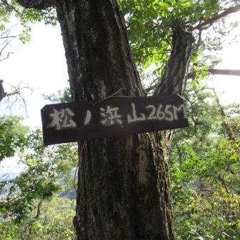 松ノ浜山 　265m
まつのはまやま