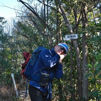 まずは乙女山。
乙女？がいます。