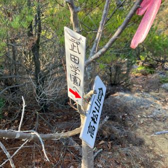 さて、高松山へ。