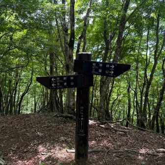 白クラノ頭に到着
