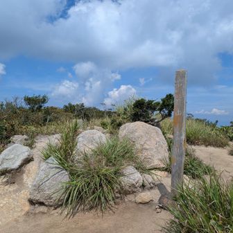 岩籠山、登頂！
日陰、全くなし！