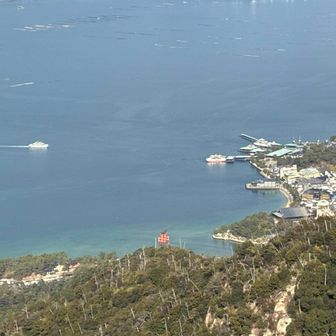 本当だ〜大鳥居⛩️に海水ある〜🤣
下りてからもう一度見に行こう〜🎊🎉🙌
2度美味しい大鳥居⛩️〜🤣