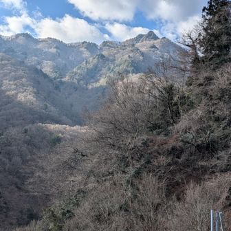 ミスターポおポお修行足りない。神様に修行してもらう。