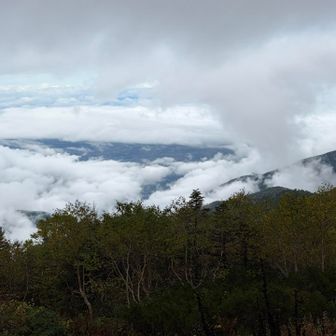 雲海。