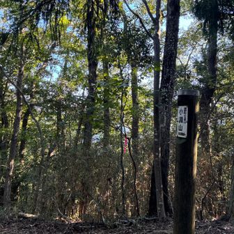 小淵山も、疲れた身体ではようやく到着出来た感じです😮‍💨