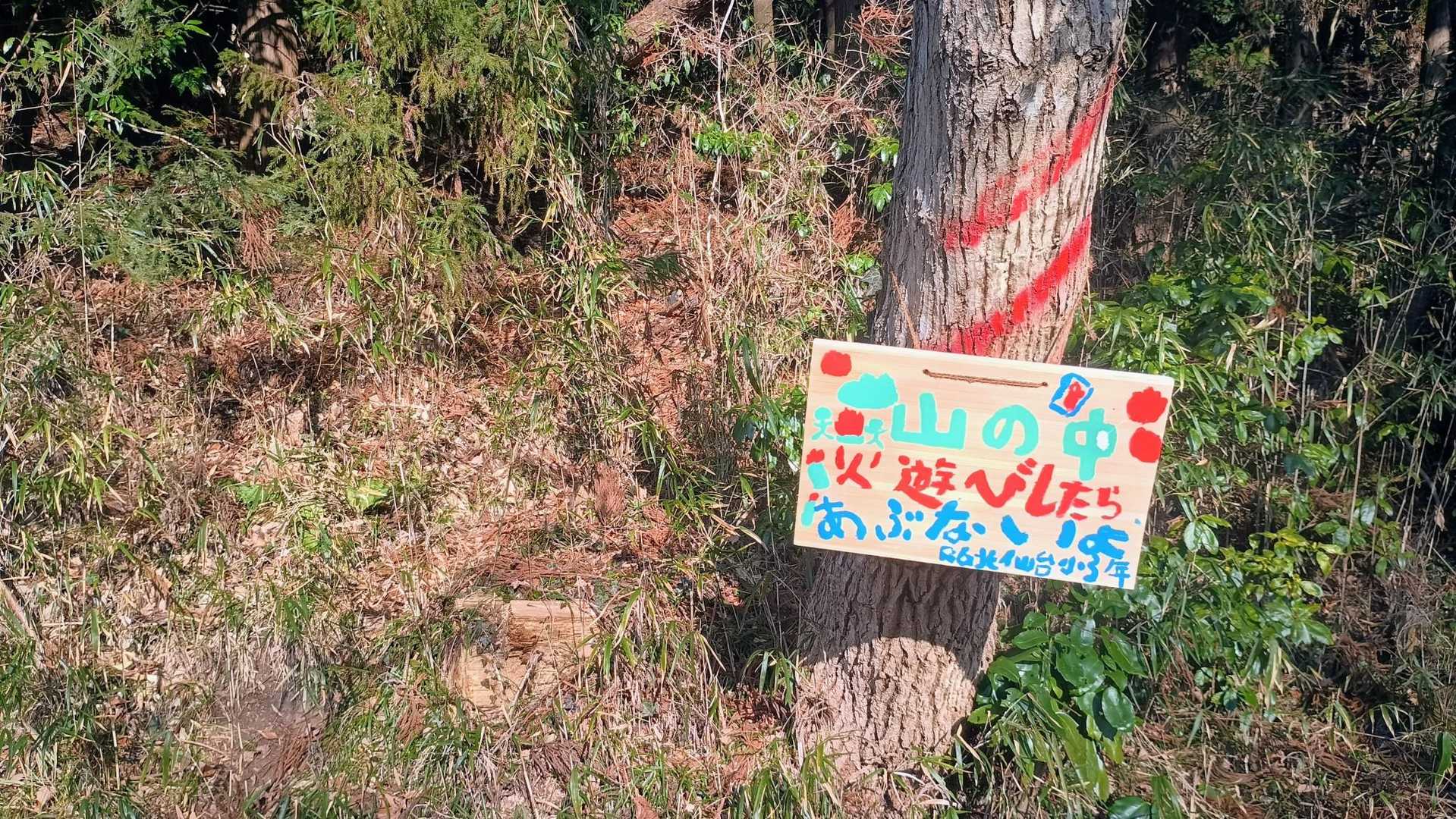 ここから次の山頂に入りますー⛰️