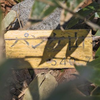 はいさんちょ。