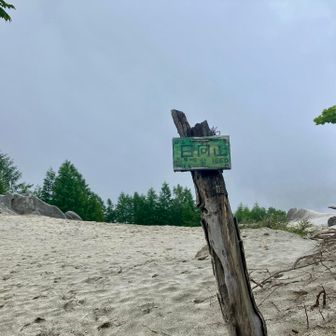 梅雨の時季☂️で山行流れがちですが
春セミが鳴いて季節感が楽しめます
