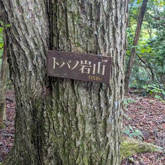 とばのいわやま 1158m