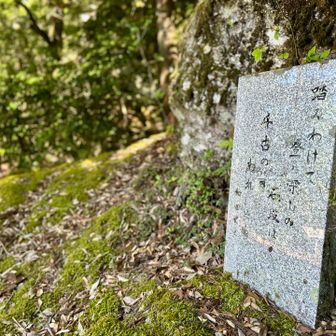 阿波にゆかりのある方々とか