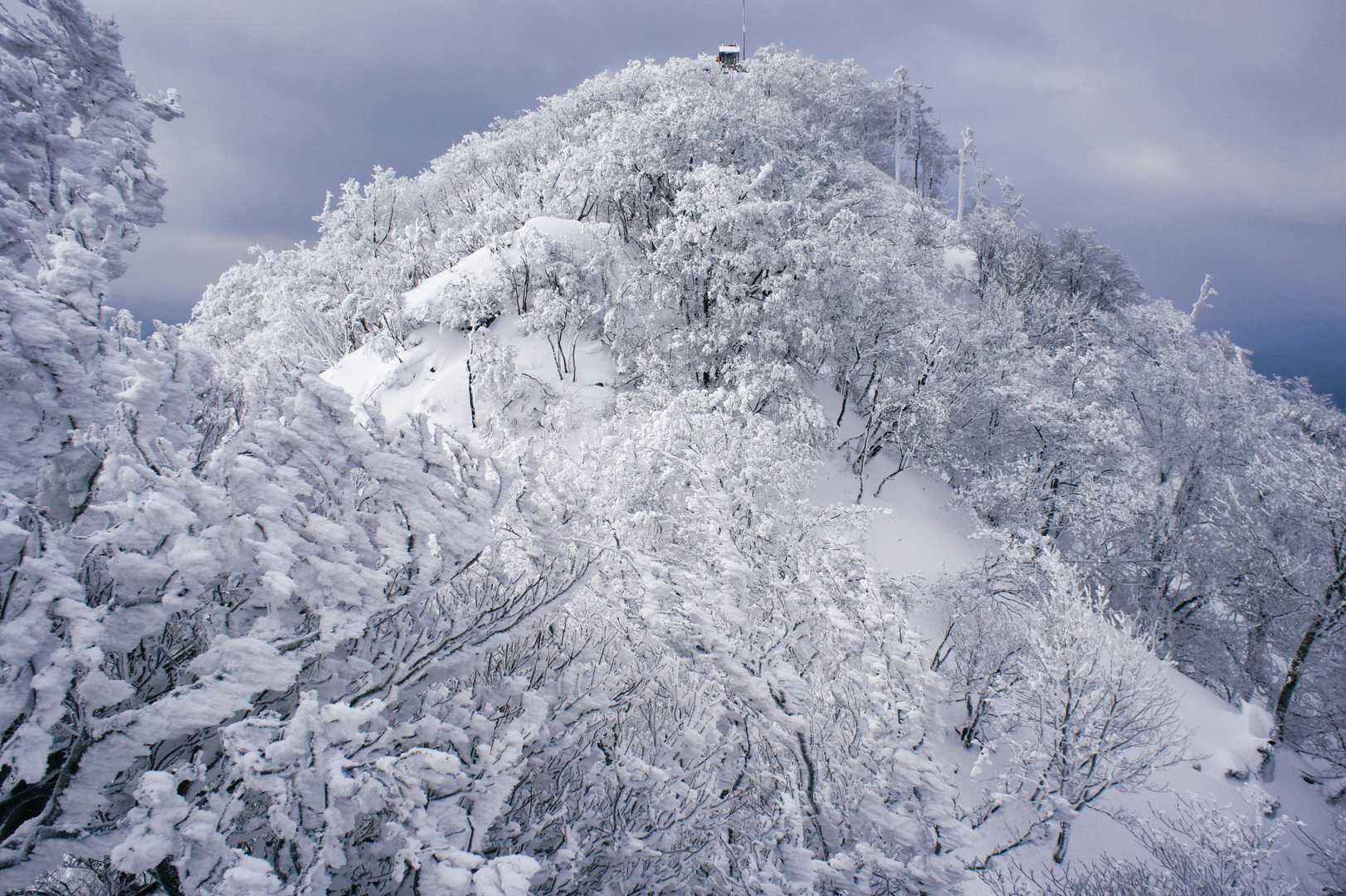 高見山-カヤノ山-天狗山-船峯山-黒石山-高山-差杉峠 周回コースの写真