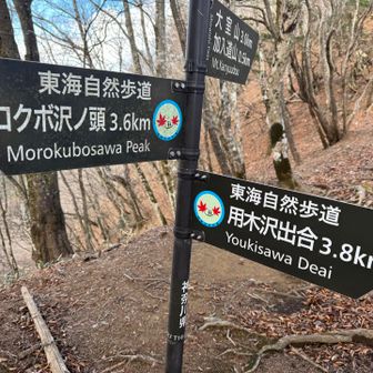 行く行く〜っ！行ってみた〜いっ！
と、（圧に負けたわけではなく）やっこちゃん快諾♥️
では、では、、先のモロクボ沢ノ頭へ、、