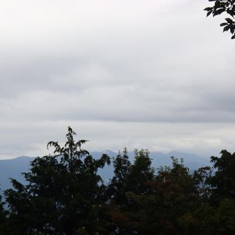 明王峠から富士山スポット。見えません。