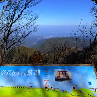 海中鳥居⛩️は見つけきれなかった